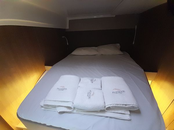 Bali Catspace | Perseids