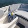 Bayliner M15 | Ra