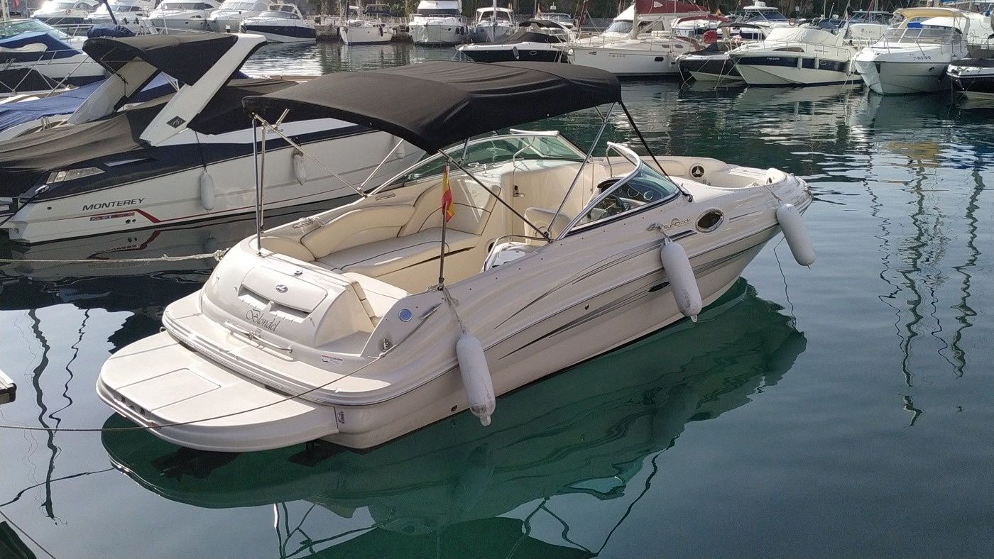 Sea Ray Sundeck 240 | Blondel