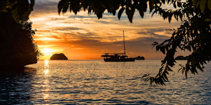 Konjo Schooner 86 | Sequoia