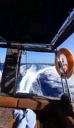 Sea Ray 300 | Endless Blue