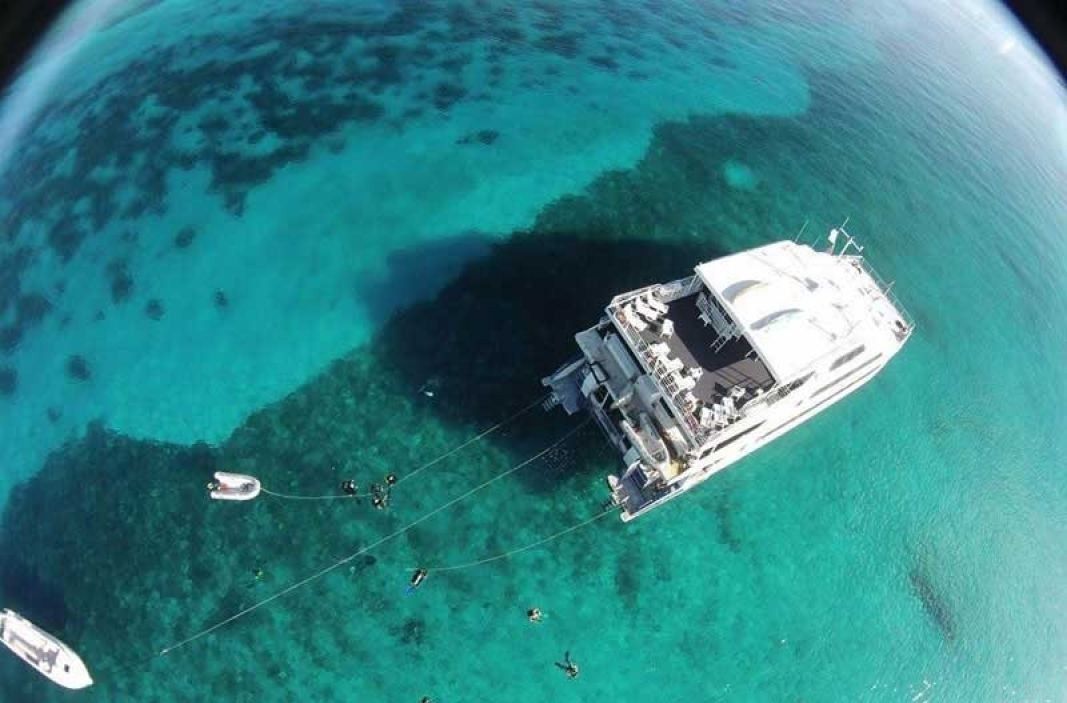 Custom Built 102 | Aqua Cat