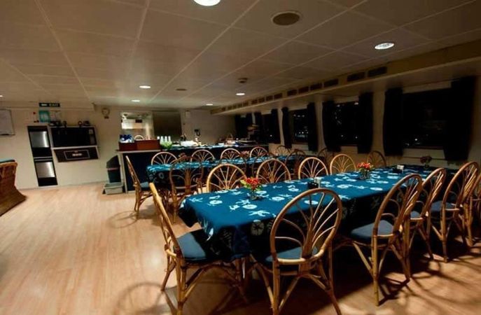 Custom Built 102 | Aqua Cat