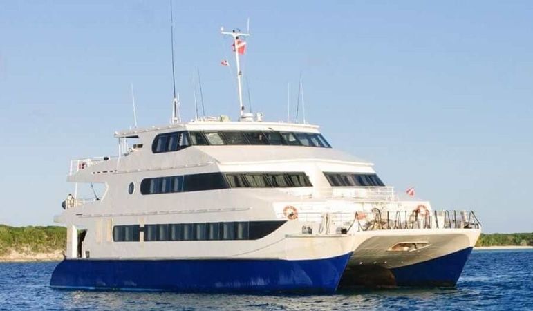 Custom Built 102 | Aqua Cat