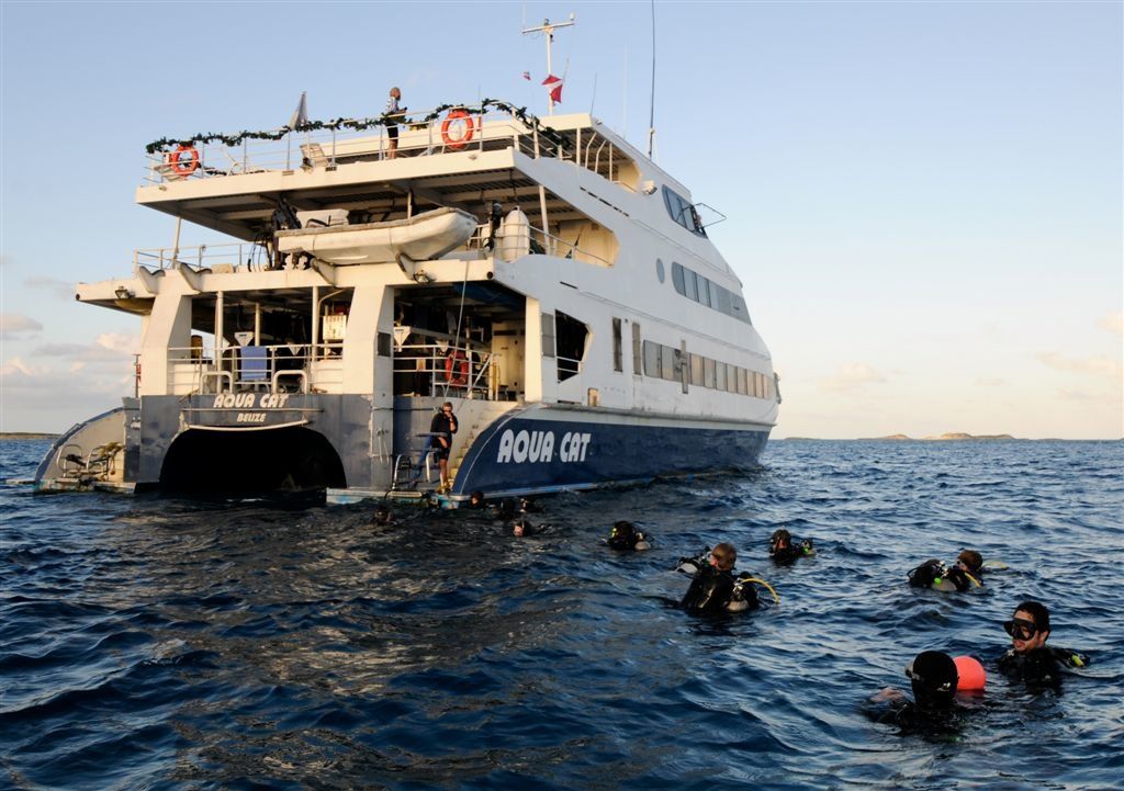 Custom Built 102 | Aqua Cat