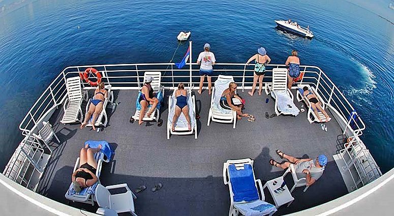 Custom Built 102 | Aqua Cat