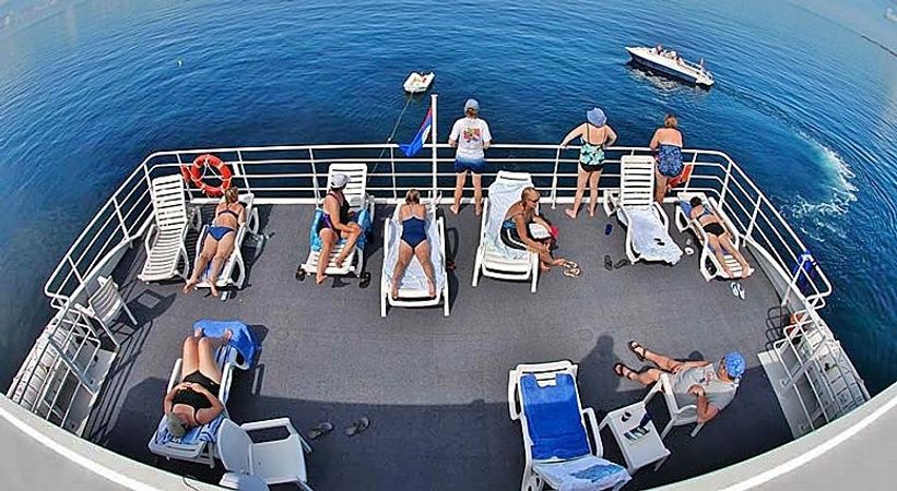 Custom Built 102 | Aqua Cat