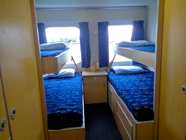 Custom Built 102 | Aqua Cat