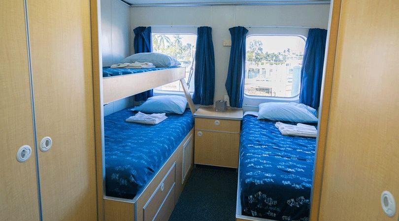 Custom Built 102 | Aqua Cat