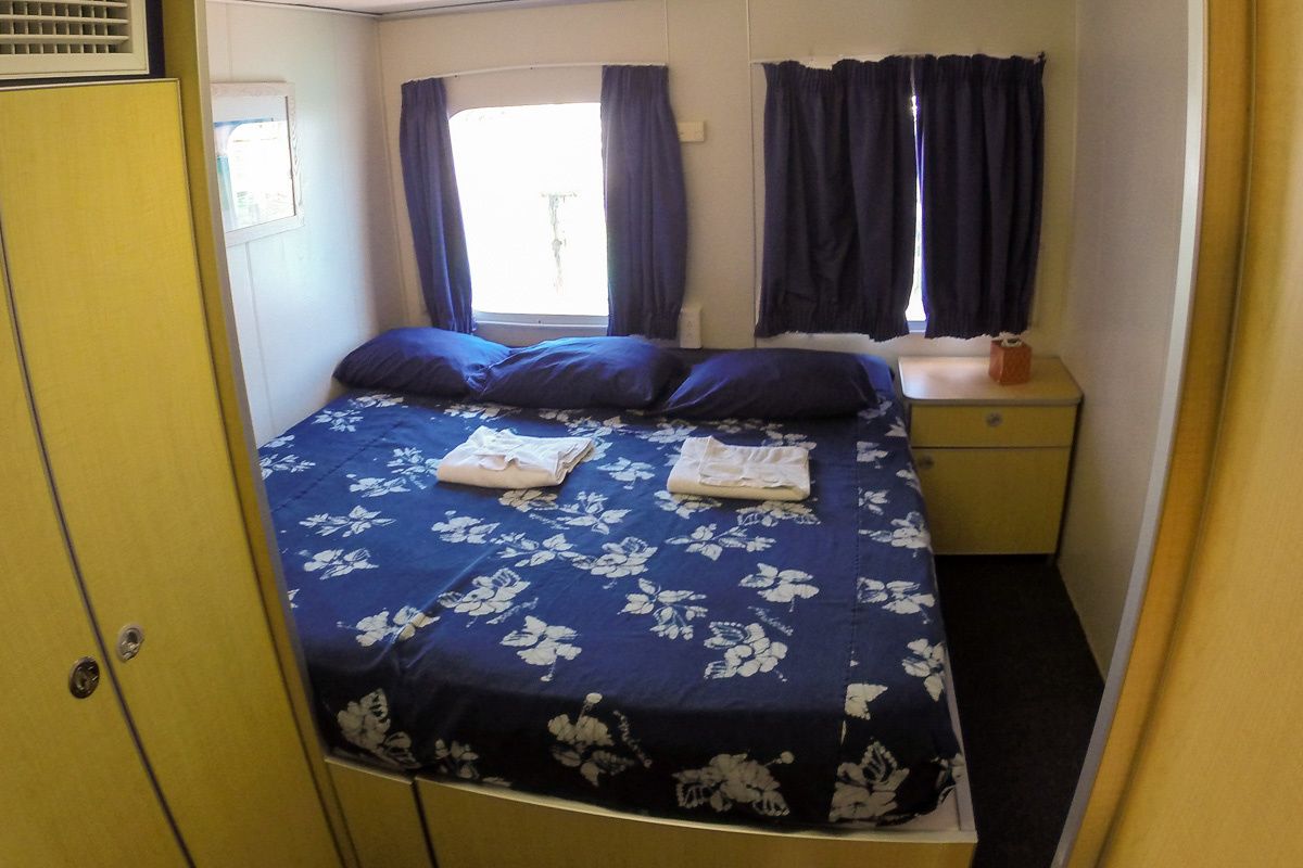 Custom Built 102 | Aqua Cat