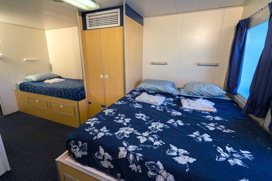 Custom Built 102 | Aqua Cat