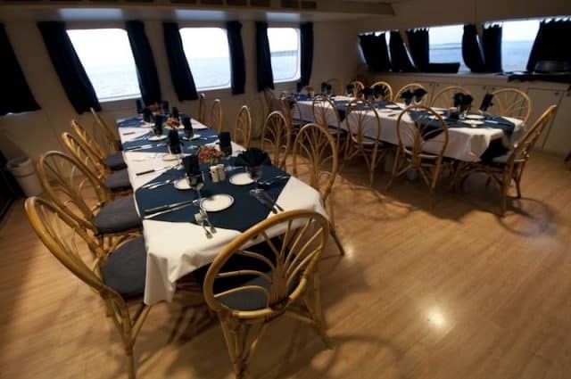 Custom Built 102 | Aqua Cat