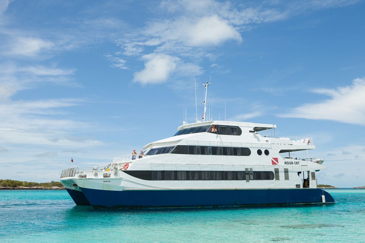 Custom Built 102 | Aqua Cat