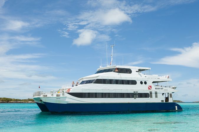 Custom Built 102 | Aqua Cat