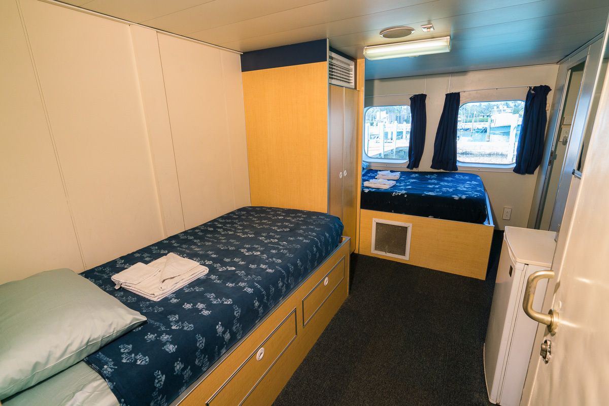 Custom Built 102 | Aqua Cat