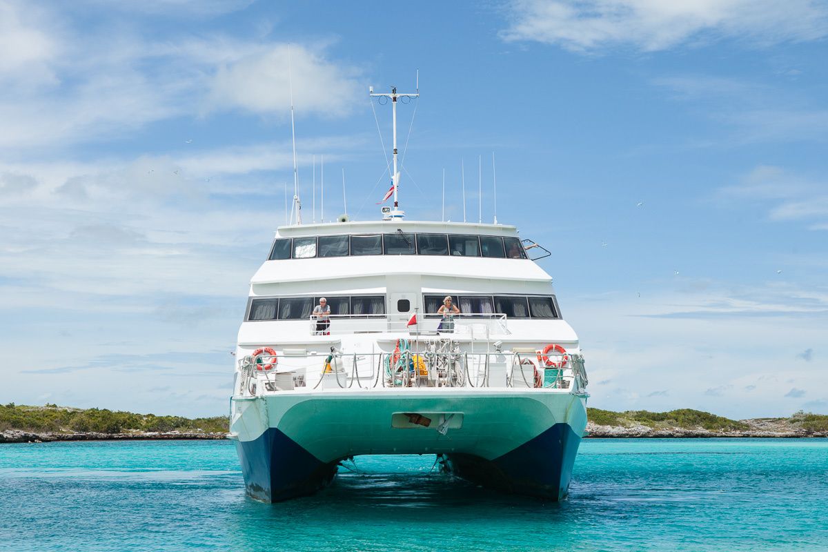 Custom Built 102 | Aqua Cat