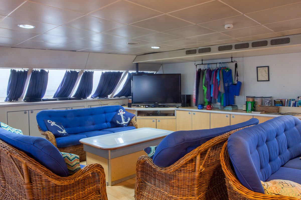 Custom Built 102 | Aqua Cat