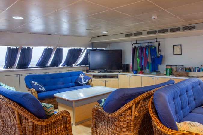 Custom Built 102 | Aqua Cat