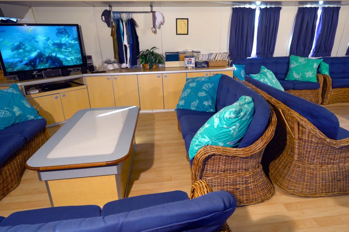 Custom Built 102 | Aqua Cat