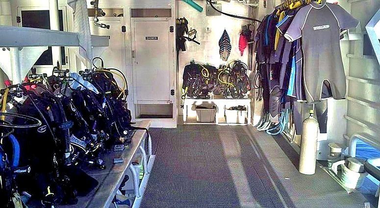 Custom Built 102 | Aqua Cat