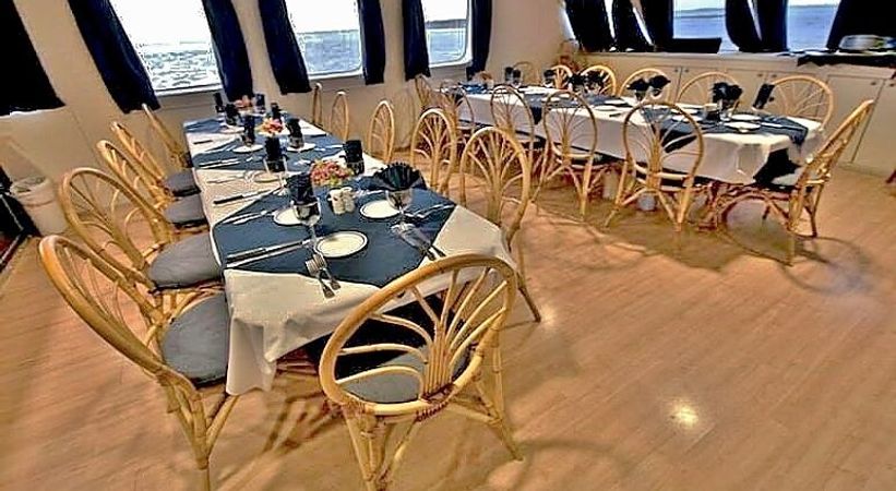 Custom Built 102 | Aqua Cat