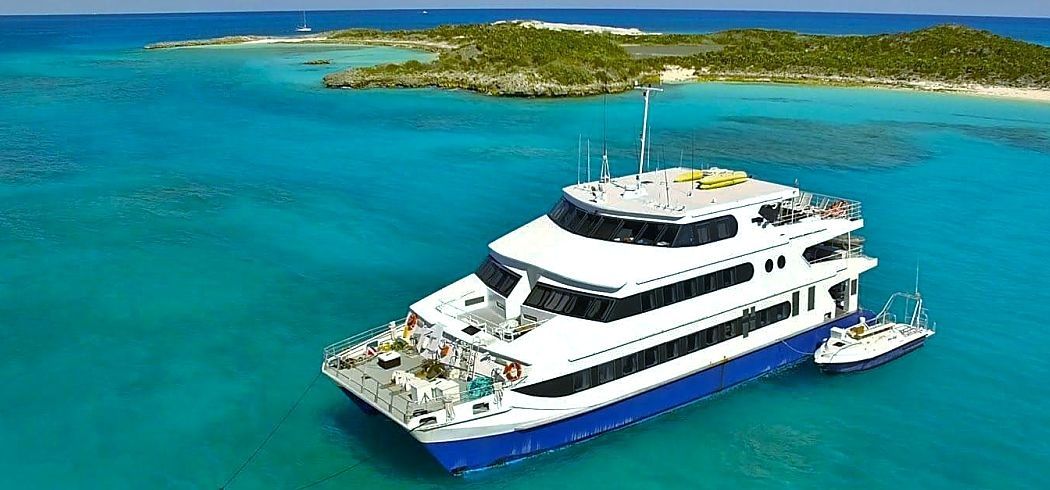 Custom Built 102 | Aqua Cat