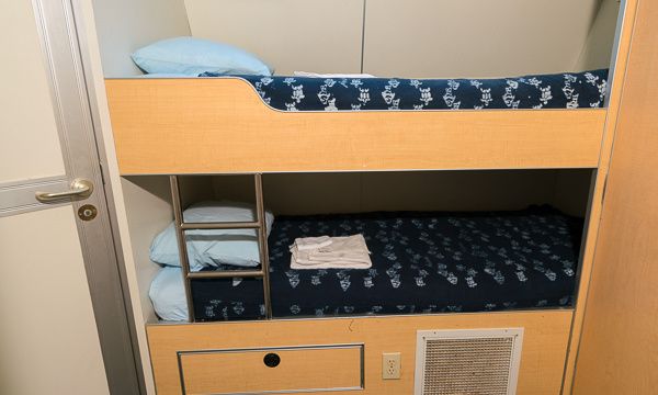 Custom Built 102 | Aqua Cat