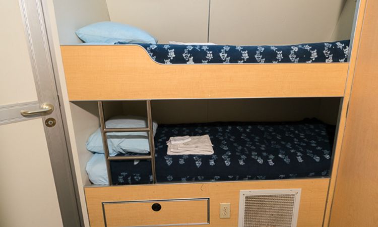 Custom Built 102 | Aqua Cat