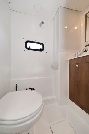 Bali Catspace | Ocean Office