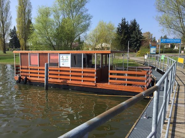 Tom Sawyer TS1000 | Bolle 04