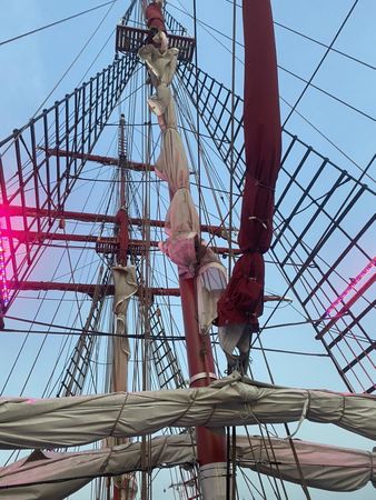 Gulet 154 | Royal Albatross
