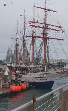 Gulet 154 | Royal Albatross