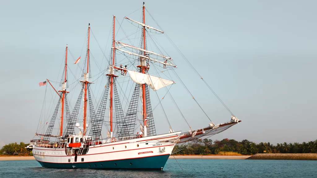 Gulet 154 | Royal Albatross