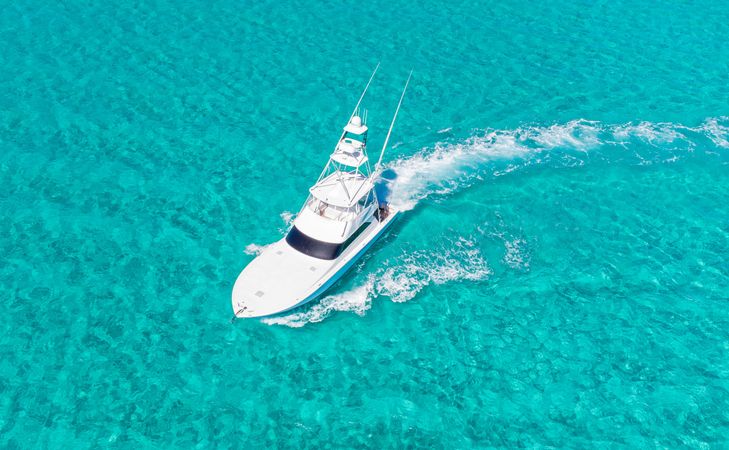 Viking 58 | Big Fish 2