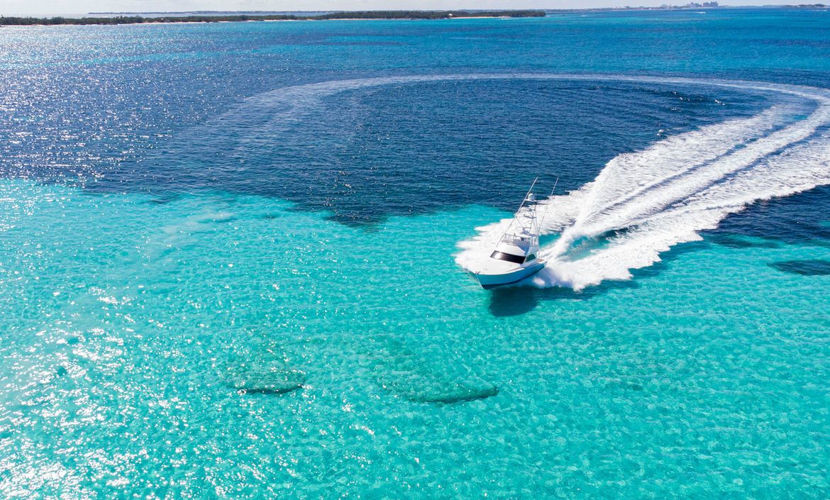 Viking 58 | Big Fish 2