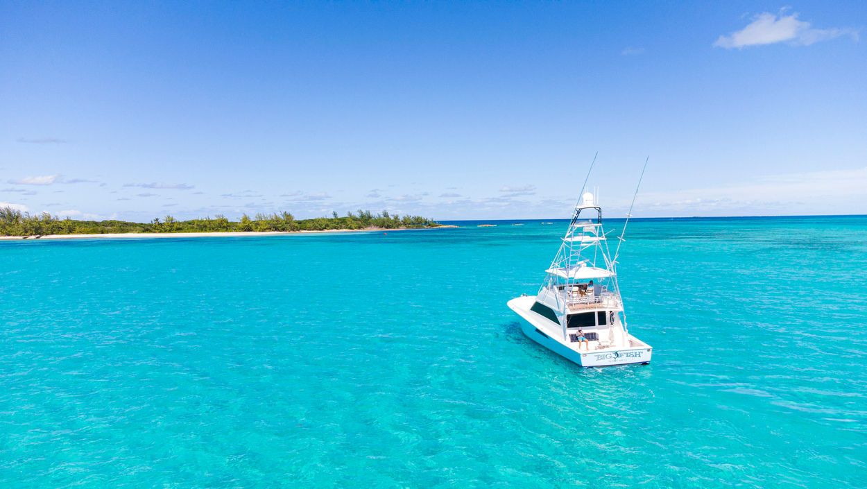 Viking 58 | Big Fish 2