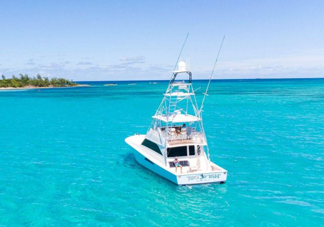 Viking 58 | Big Fish 2