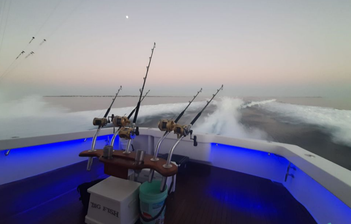 Viking 58 | Big Fish 2