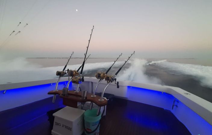 Viking 58 | Big Fish 2