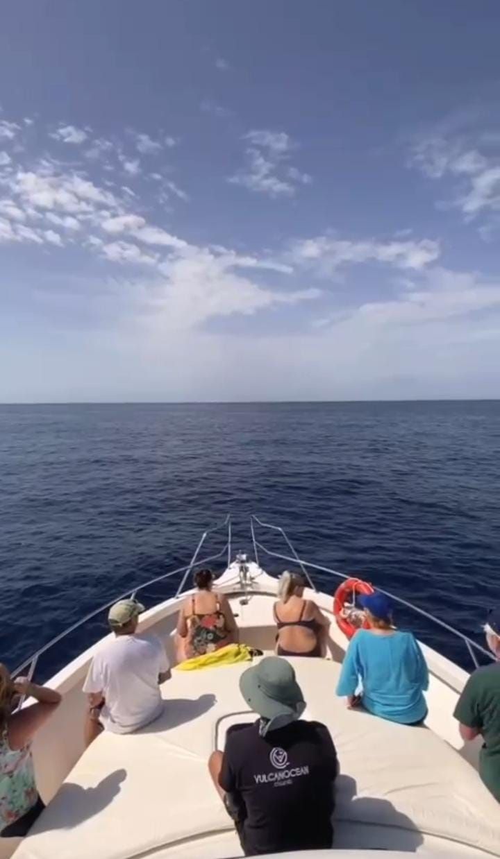 Rodman 1250 | Vulcano