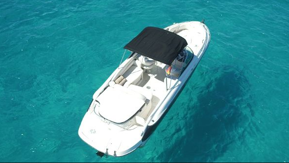 Monterey 278 | Napine