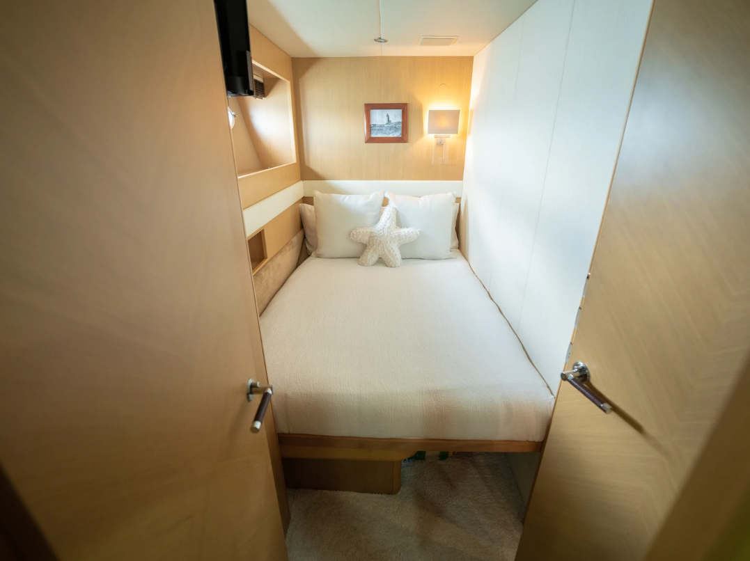 Princess 85 | No Curfew