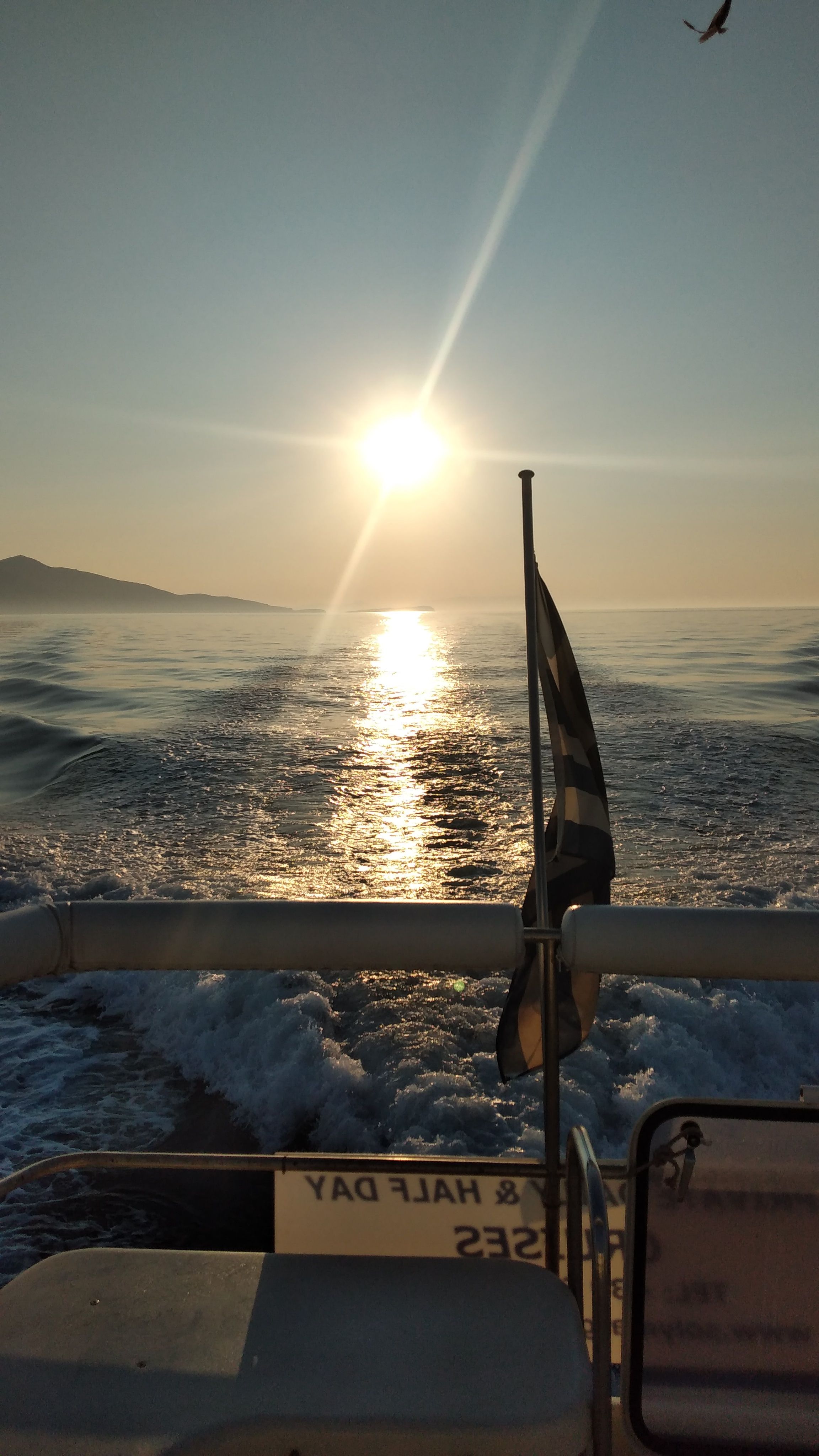 Westerly Wolf 46 | LL