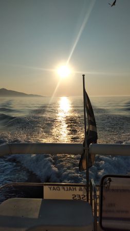 Westerly Wolf 46 | LL