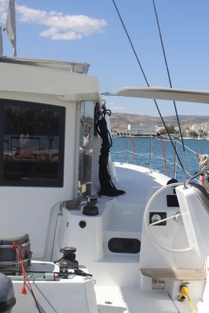 Bali Catsmart | Northcat 38