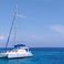 Leopard 40 | Geronimo