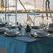 Fountaine Pajot Venezia 42 | Bacchanal