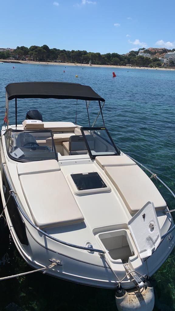 Bayliner VR6 Cuddy | Bluemarine