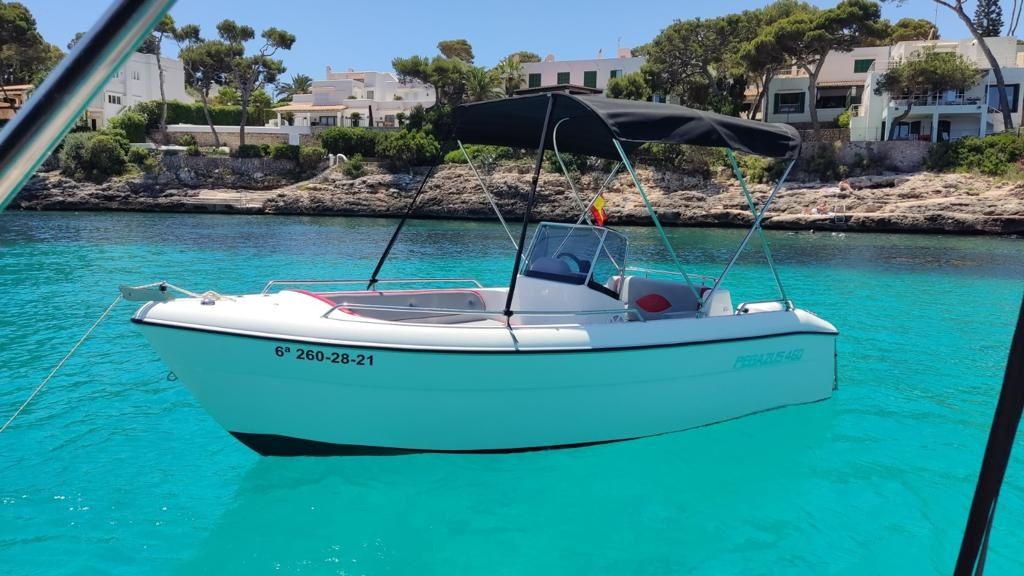 Pegazus 460 | Bluemari dos