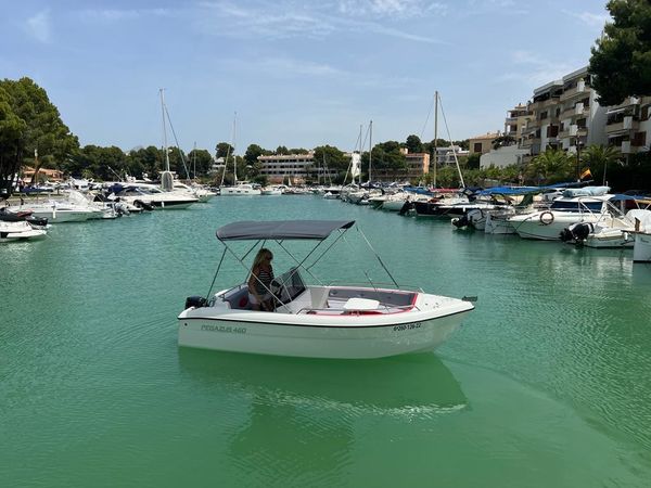 Pegazus 460 | Bluemari dos